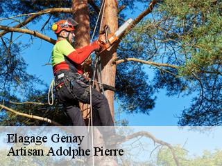 Elagage  genay-21140 Artisan Adolphe Pierre