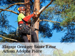 Elagage  gresigny-sainte-reine-21150 Artisan Adolphe Pierre