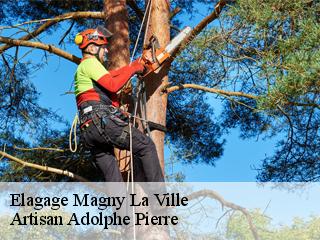 Elagage  magny-la-ville-21140 Artisan Adolphe Pierre