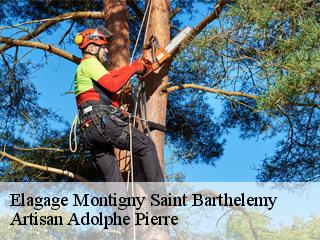Elagage  montigny-saint-barthelemy-21390 Artisan Adolphe Pierre