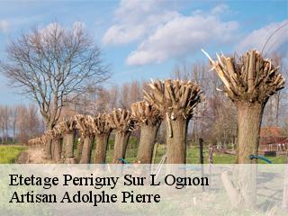 Etetage  perrigny-sur-l-ognon-21270 Artisan Adolphe Pierre