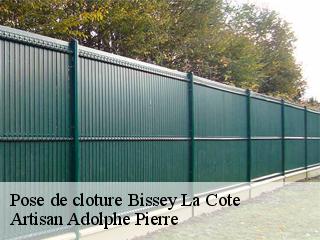 Pose de cloture  bissey-la-cote-21520 Artisan Adolphe Pierre