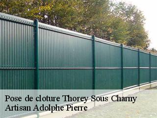 Pose de cloture  thorey-sous-charny-21350 Artisan Adolphe Pierre