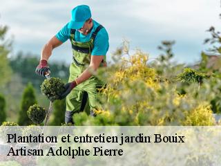 Plantation et entretien jardin  bouix-21330 Artisan Adolphe Pierre