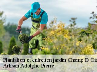 Plantation et entretien jardin  champ-d-oiseau-21500 Artisan Adolphe Pierre