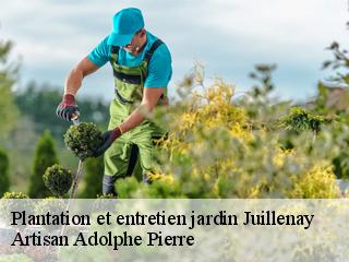 Plantation et entretien jardin  juillenay-21210 Artisan Adolphe Pierre