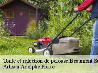 Tonte et refection de pelouse  beaumont-sur-vingeanne-21310 Artisan Adolphe Pierre