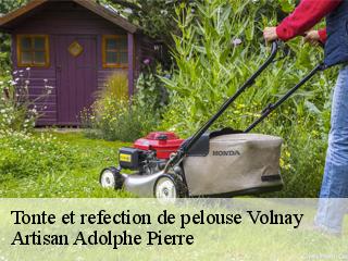 Tonte et refection de pelouse  volnay-21190 Artisan Adolphe Pierre