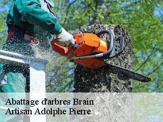 Abattage d'arbres  brain-21350 Artisan Adolphe Pierre