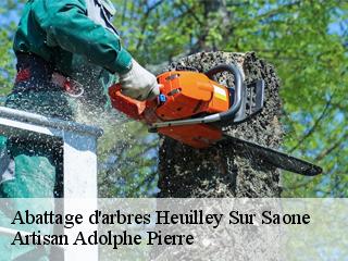 Abattage d'arbres  heuilley-sur-saone-21270 Artisan Adolphe Pierre