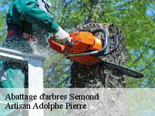 Abattage d'arbres  semond-21450 Artisan Adolphe Pierre