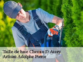 Taille de haie  chemin-d-aisey-21400 Artisan Adolphe Pierre