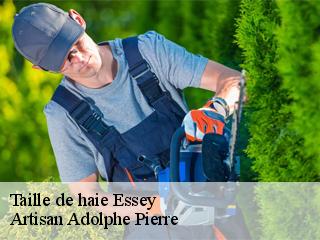 Taille de haie  essey-21320 Artisan Adolphe Pierre